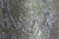 Tompsets Bank fibreglass roof work